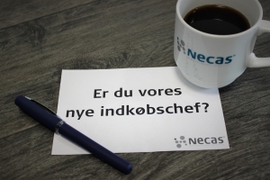 Necas sÃ¸ger indkÃ¸bschef