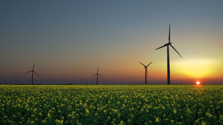 Grøn el-aftale mellem Atea og Better Energy