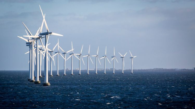 Vindenergi har ikke været den guldfugl Ørsted havde regnet med