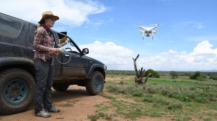 WildDrone projektet fra SDU vil revolutionere overvågning af naturen.