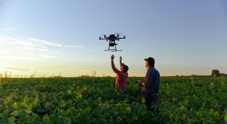 Droner og AI løser stort problem for landbruget